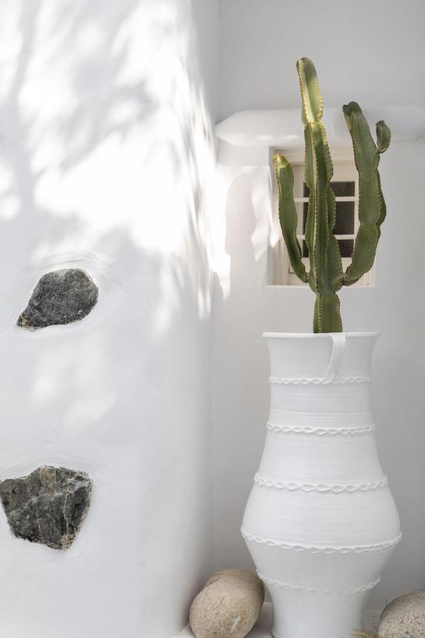 Cassaris Mykonos Drafaki