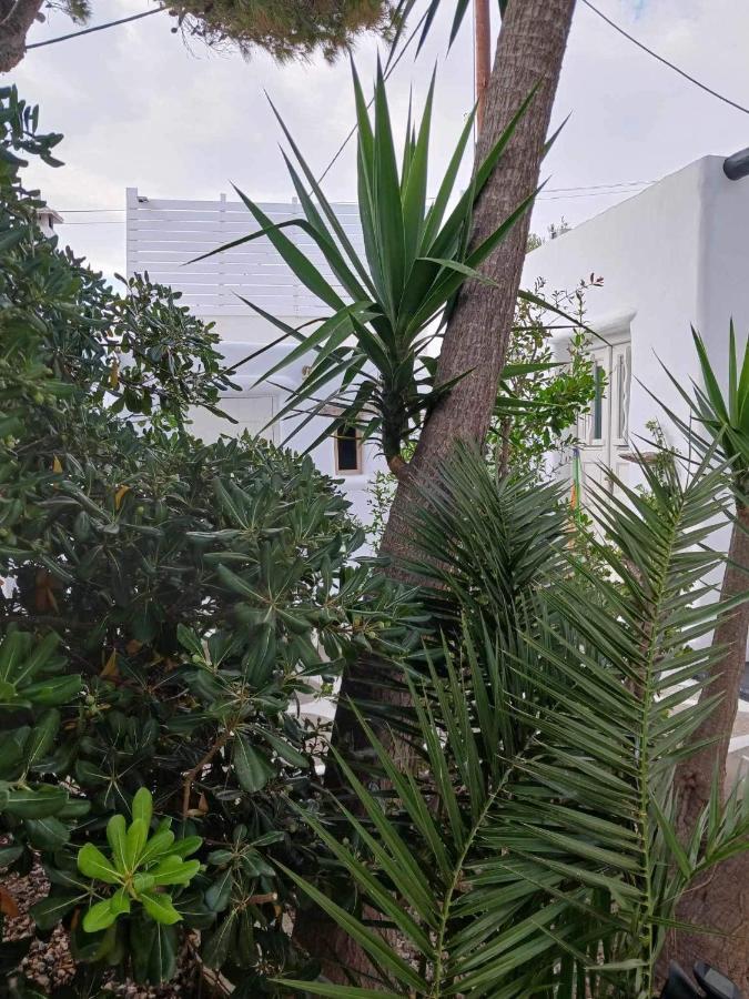 Cassaris Mykonos Дом отдыха *