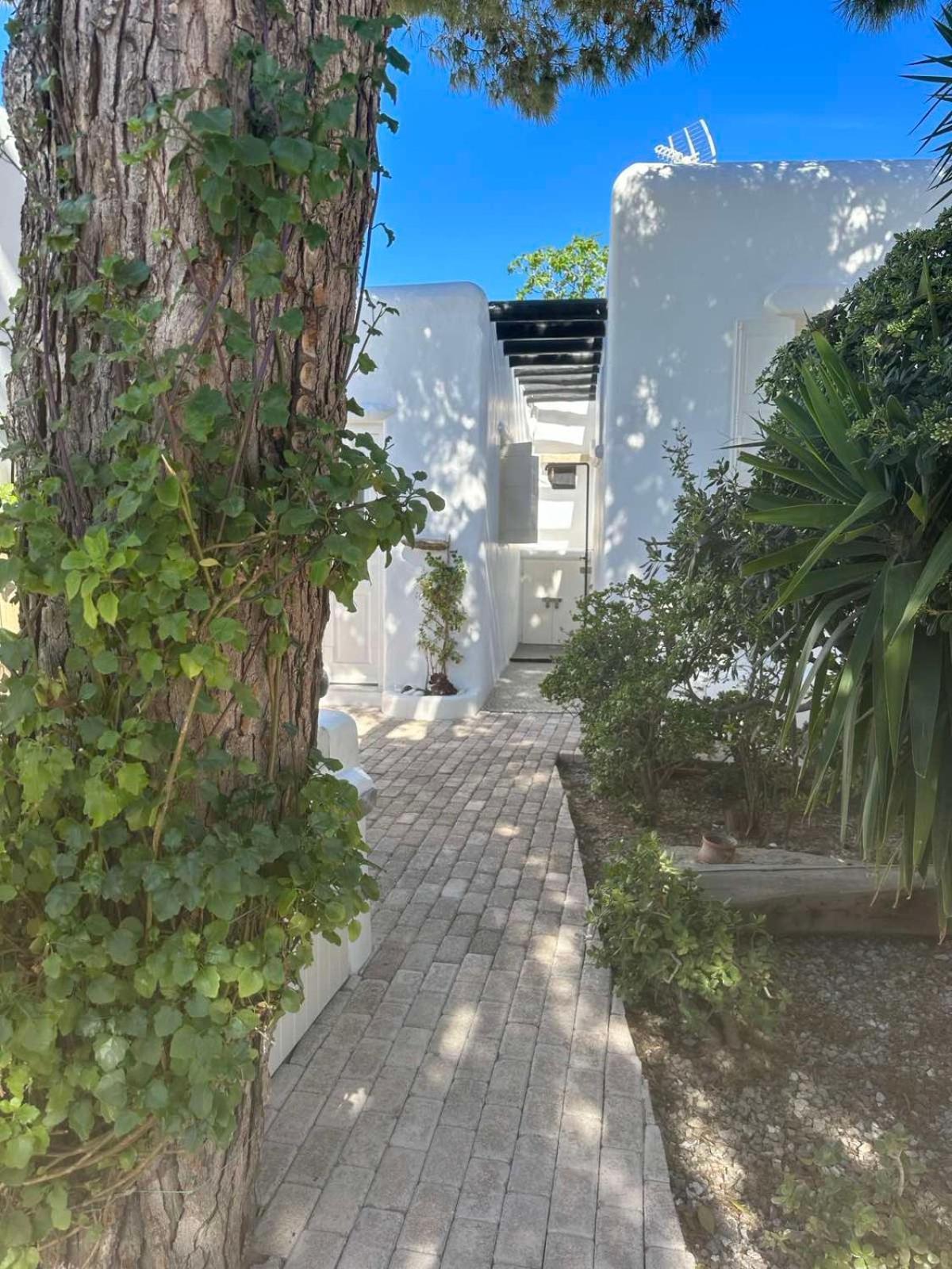 Cassaris Mykonos *
