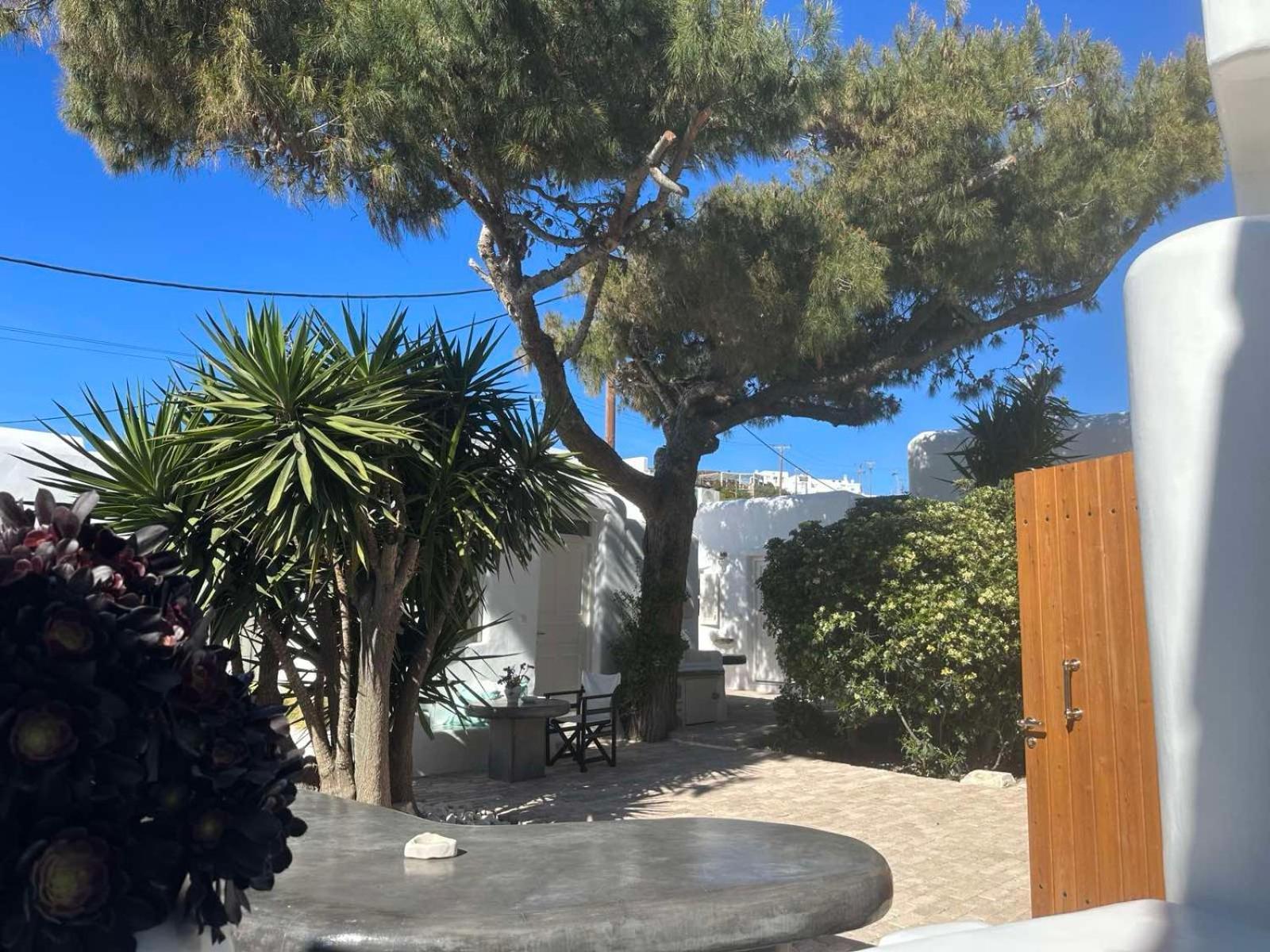 Cassaris Mykonos